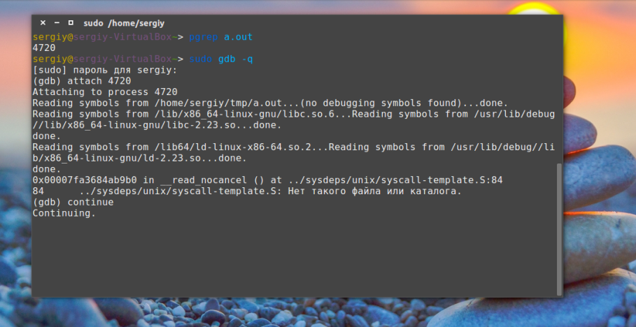 segfault