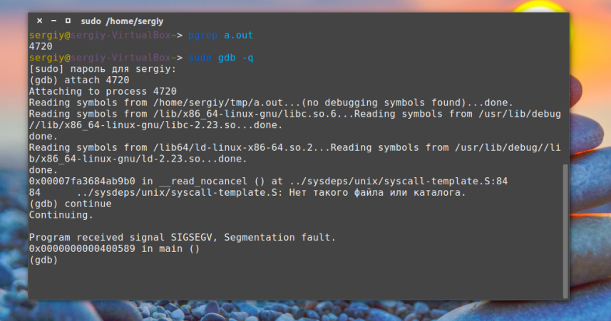 segfault1