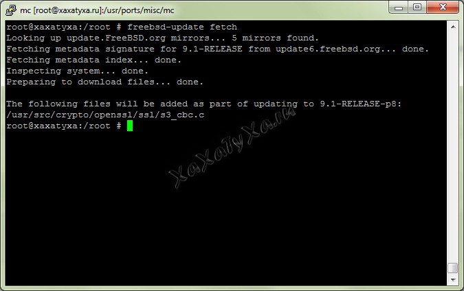 error_freebsd-update-fetch_openssl-ssl-s3_cbc-c