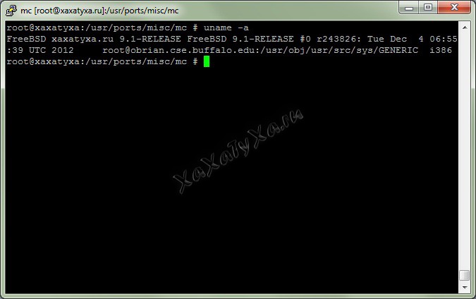 uname-a-freebsd