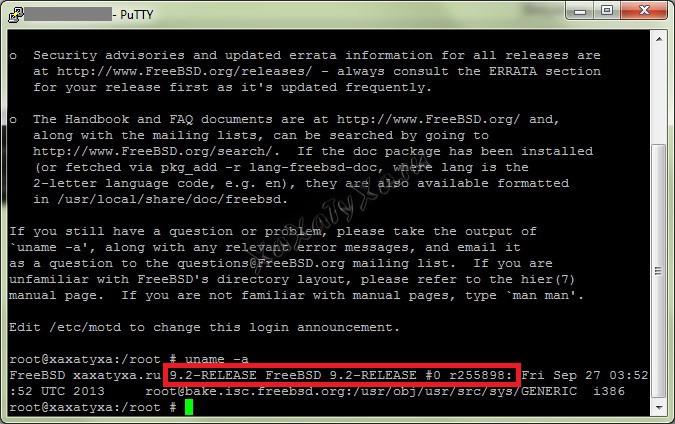 uname-a-freebsd_after-update