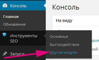 Как настроить карту сайта в плагине All In One SEO Pack