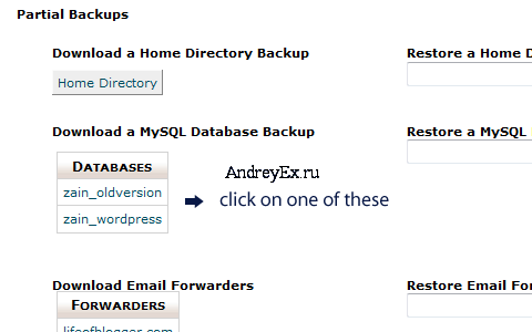Управление cpanel метод резервного копирования
