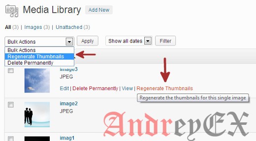 Регенерация размера