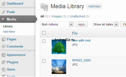 Что такое: Медиа настройки