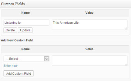 Добавление пользовательских полей в пост WordPress