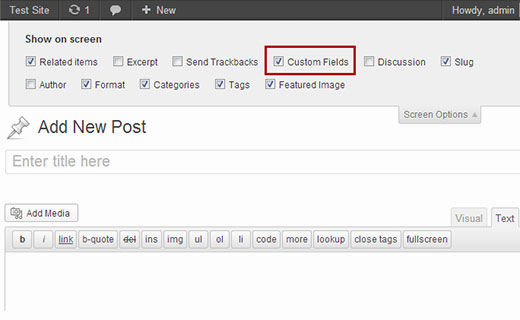 Окно включения пользовательских полей метаданных в окне редактирования WordPress