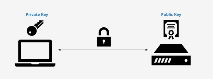 ssh rsa