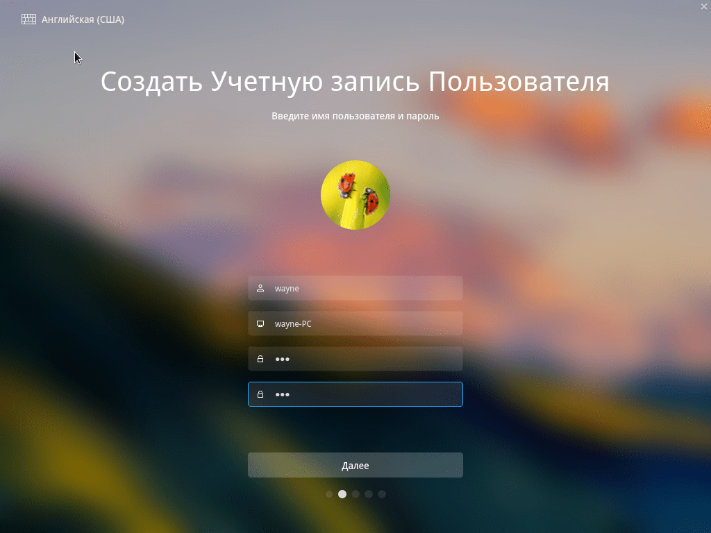Установка Deepin ввод учетных данных
