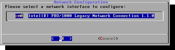 Выбор сетевого интерфейса.