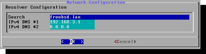 Вводим DNS сервера.