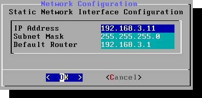 Вводим настройки сетевого интерфейса.