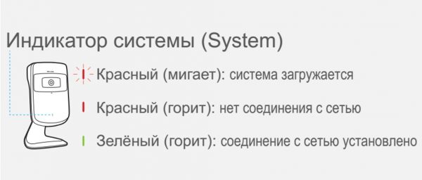 Контроль за состоянием подключения TP-LINK NC250 к сети