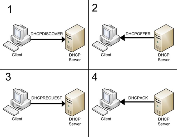 Выдача IP адресов DHCP сервером