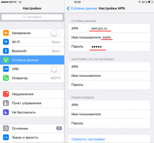 Экран настройки мобильного интернета на iPad