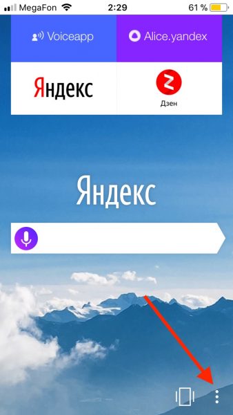 Переход к меню браузера iOS