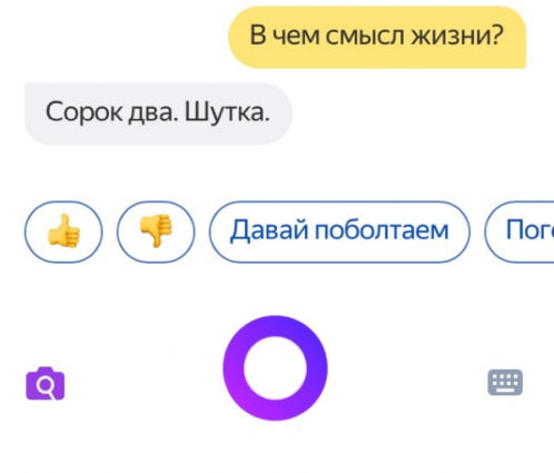 Алиса ищет смысл жизни