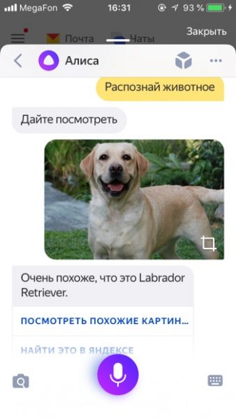 Определение породы