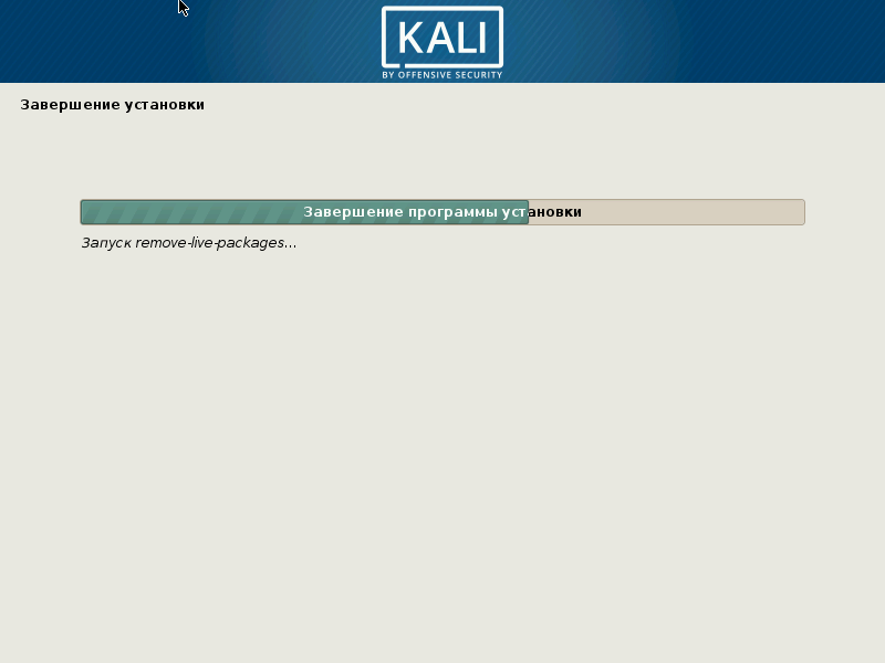 установка завершена kali linux