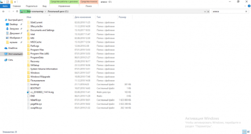 Поиск Алисы