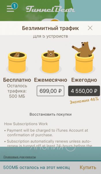 Подписка TunnelBear