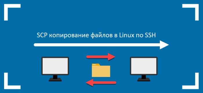 scp linux копирование файлов по ssh