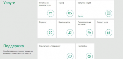 Услуги и опции