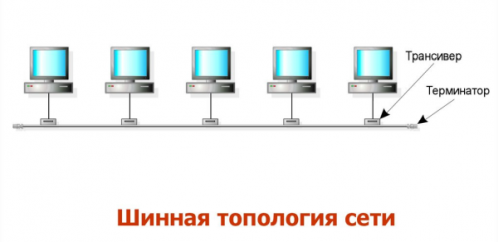 Шинная топология