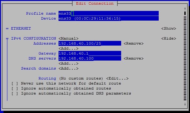 Replacing DNS with nmtui tool