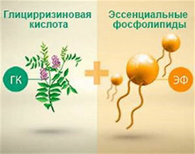 Особенности состава Фосфоглива