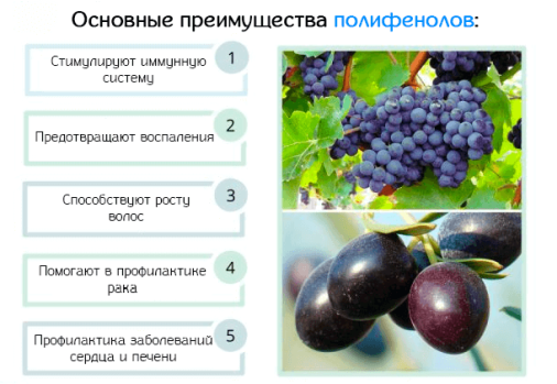 полифенолы для диеты