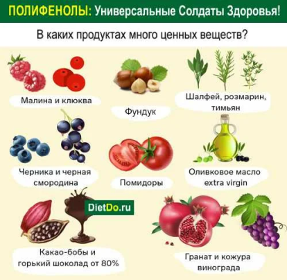 полифенолы в каких продуктах