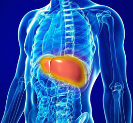 Заболевание печени