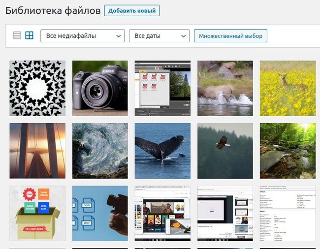 Библиотека файлов в WordPress