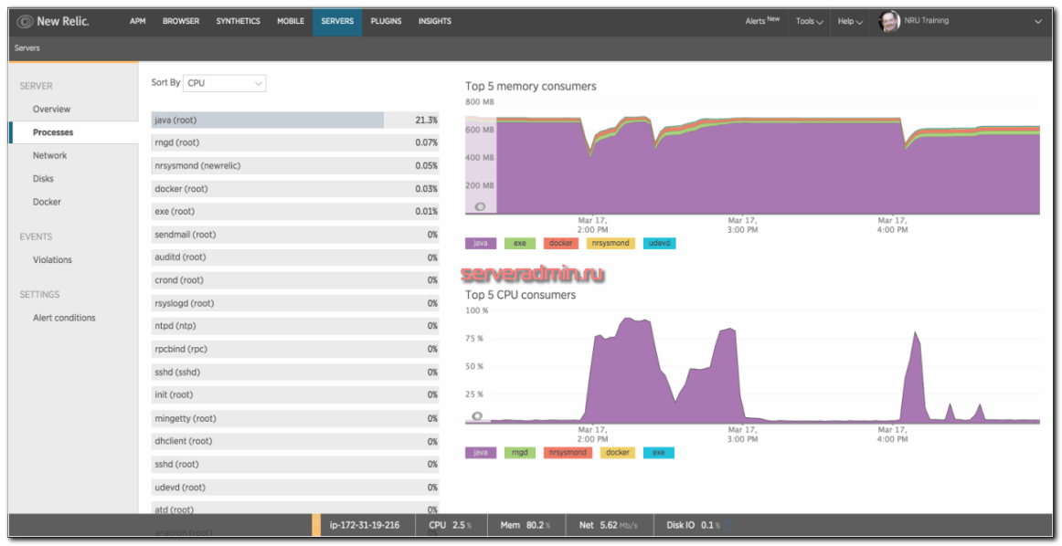Мониторинг активных процессов в NewRelic