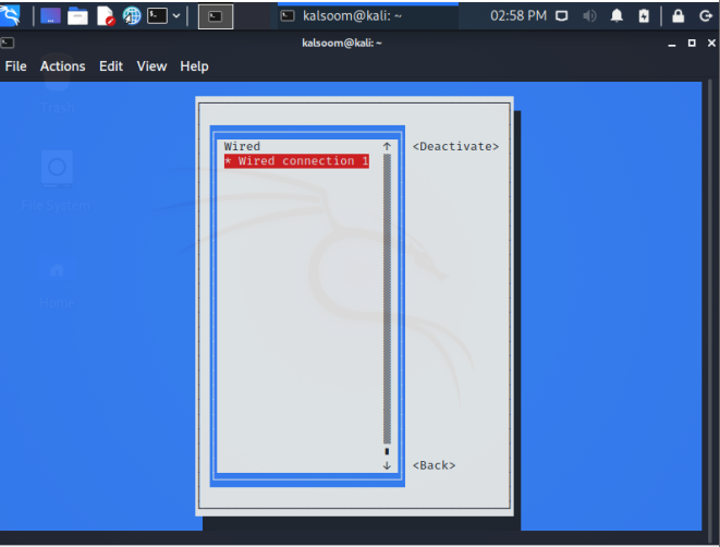 Подключение Kali Linux к беспроводной сети