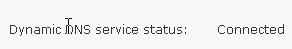 статус подключения к ddns
