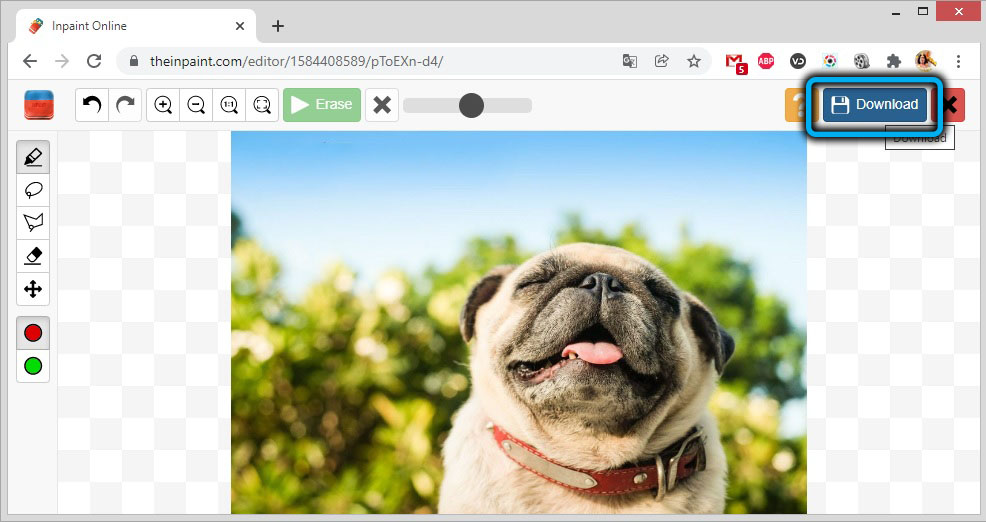 Кнопка «Download» на theinpant