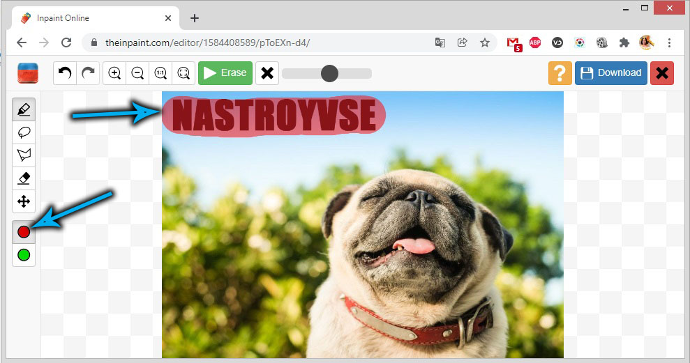 Выделение водяного знака в theinpant