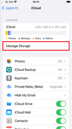 Войдите в «Управление хранилищем» на странице iCloud iPhone.