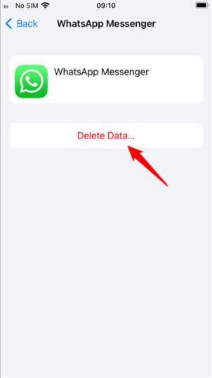 Удалить данные приложения из iCloud