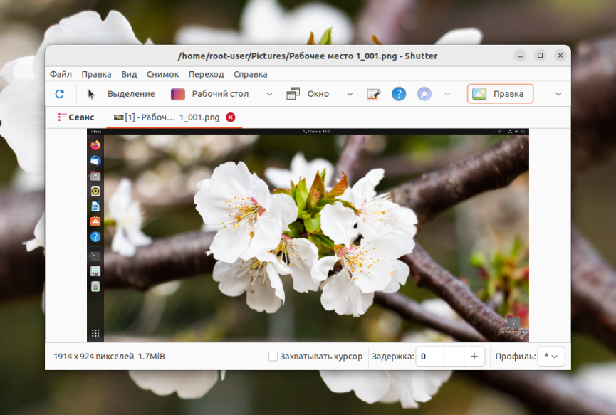 D3gxDQ9RoMGVAAAAAElFTkSuQmCC