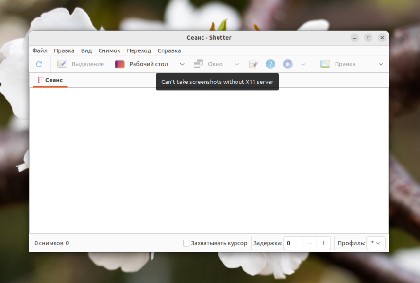 aI7Om1FlrBKf8HCg2Hsu646dcAAAAASUVORK5CYII=