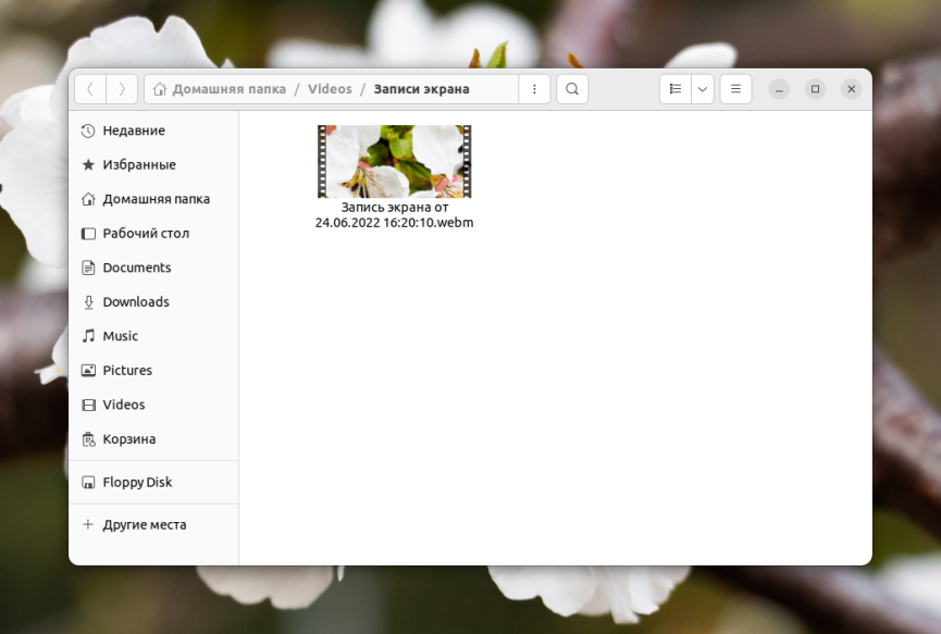 x+FyVhdgJXRUAAAAABJRU5ErkJggg==