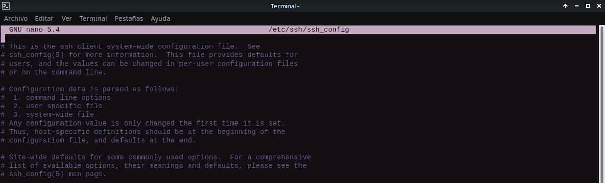 файл ssh_config для OpenSSH