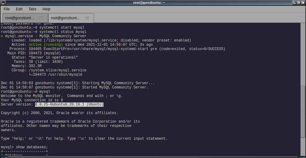 MySQL работает