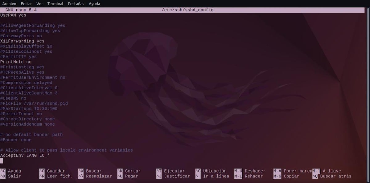 Подробнее о SSH