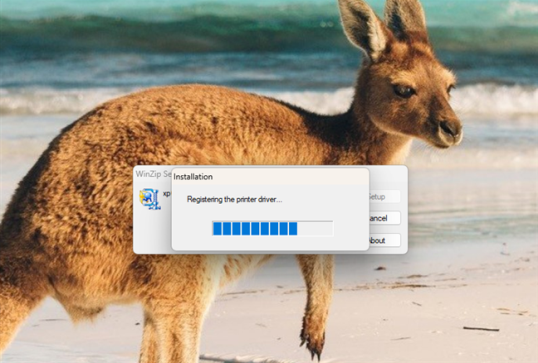 Принтер Canon добавляется к компьютеру с Windows