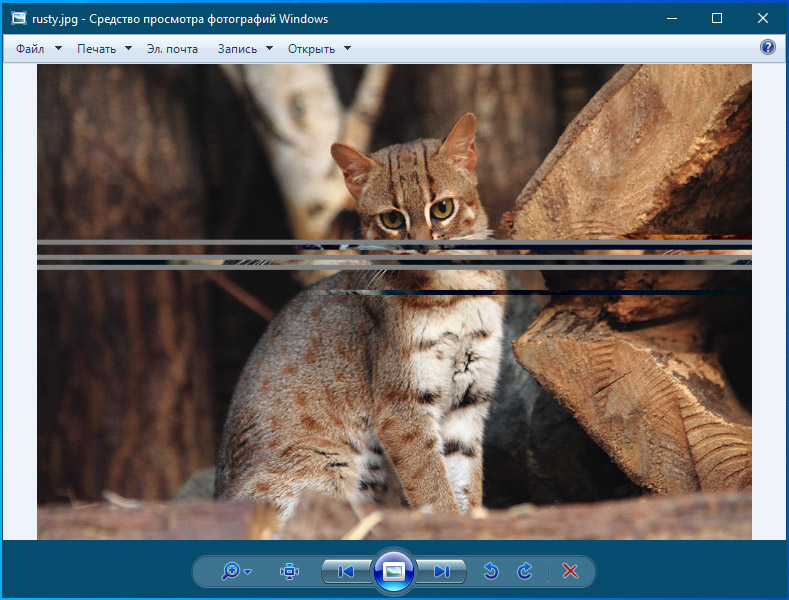 Повреждённое изображение в Windows