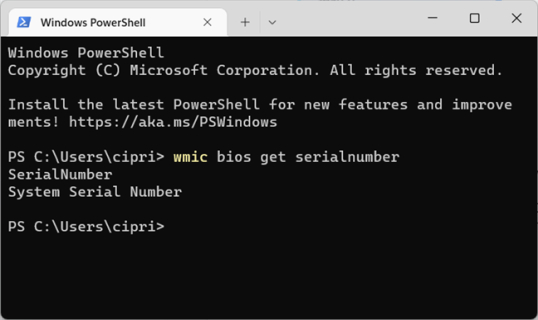 Серийный номер не возвращается для некоторых ПК